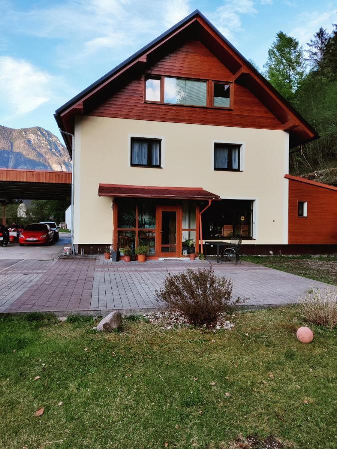 Seeblick Krippenstein Обертраун Екстериор снимка